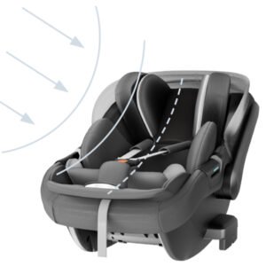 Darwin infant Recline Inglesina