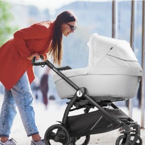 book smart modular peg perego